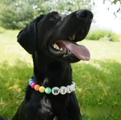 Homelandpets: Friendship Bracelet