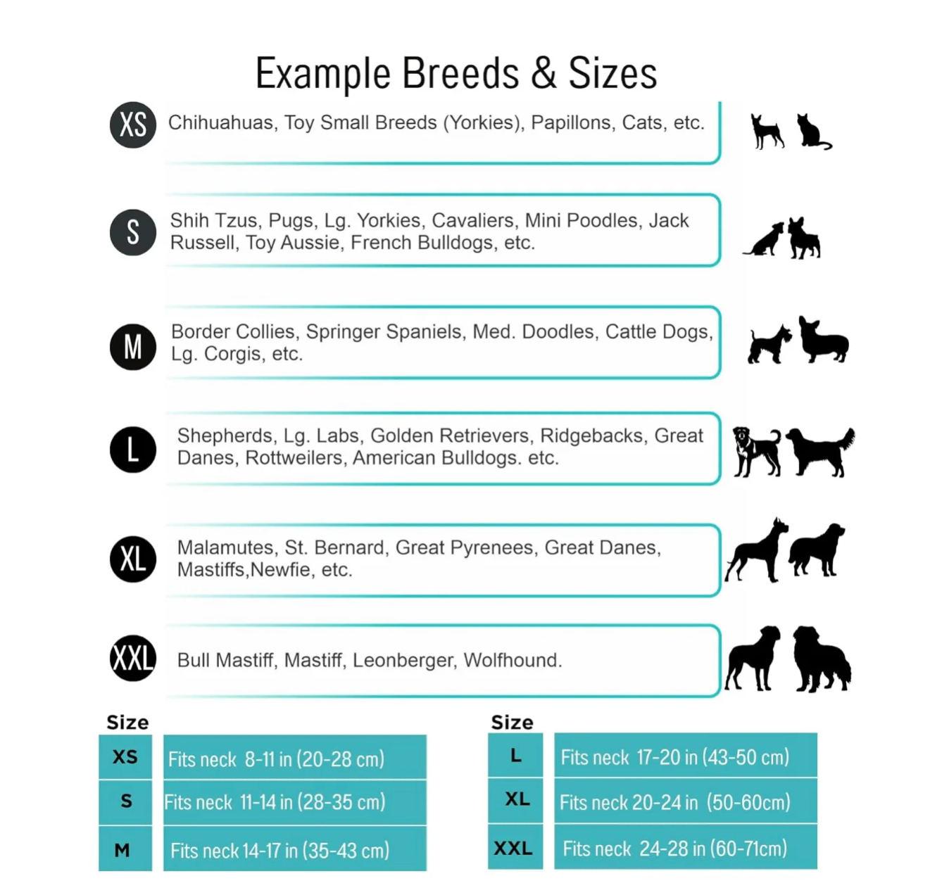 Homelandpets: Friendship Bracelet